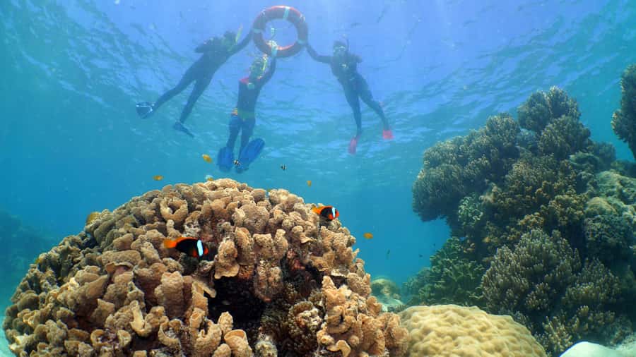 Cairns: Ocean Spirit Great Barrier Reef Full Day Tour - Who This Tour Fits Best (and Who Might Want a Different Day)