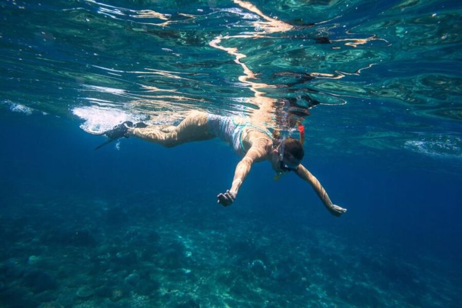 Caleta de Fuste: Catamaran Sailing Experience - Key highlights at a glance