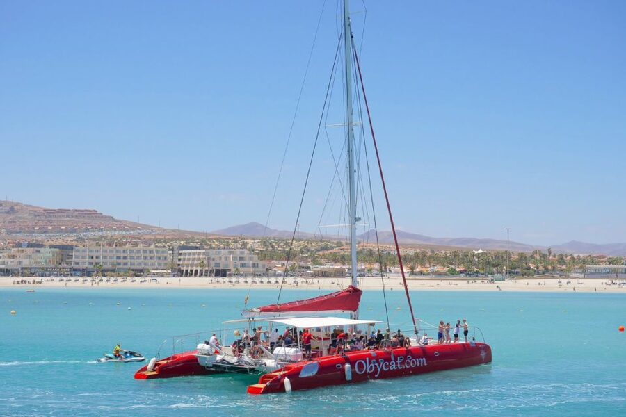Caleta de Fuste: Catamaran Sailing Experience - Why this Pozo Negro Bay catamaran beats big boat days