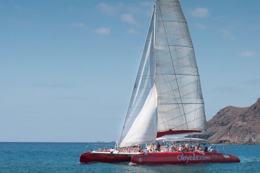 Caleta de Fuste: Catamaran Sailing Experience - Marine life spotting: what you can realistically look for