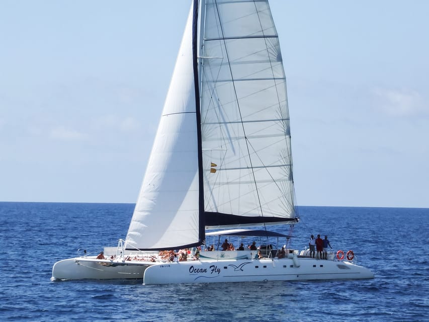 Cambrils: Costa Daurada Sail Catamaran Cruise - Practical Tips: What to Bring and How to Avoid Common Boat-Day Problems