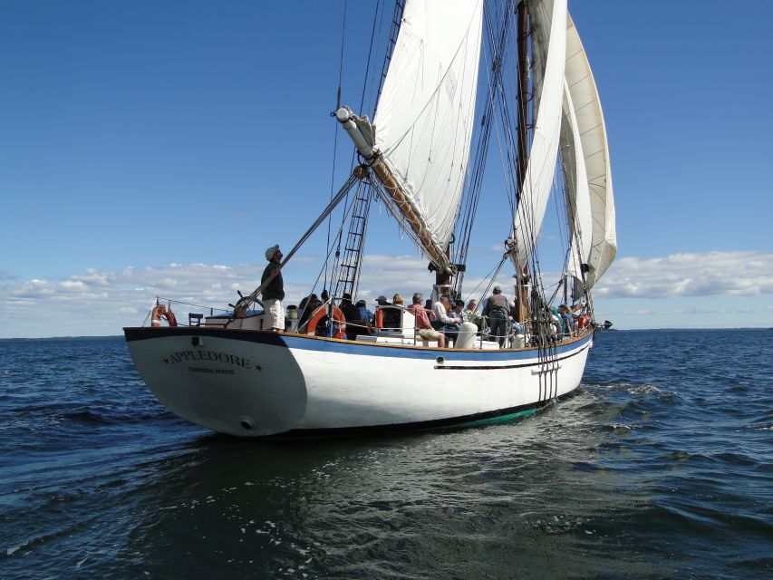 Camden: Historic Schooner Day Sailing Trip - Realistic Expectations: Weather, Motoring, and Hearing the Captain
