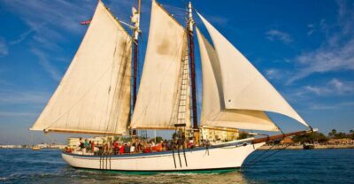 Camden: Sunset Sailing Cruise on a Wooden Schooner - Helping set the sails: what makes this cruise feel active