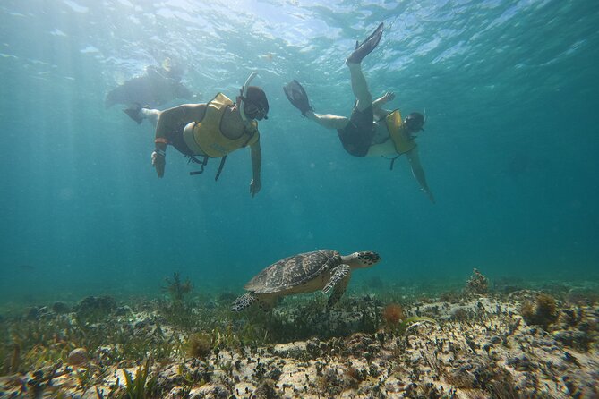 Cancun All Inclusive Catamaran Tour to Isla Mujeres - Cancun Hotel Zone to Isla Mujeres: The quick reality check