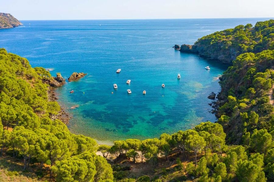 Cap Norfeu: Costa Brava Catamaran Trip with Underwater Views - Key Points You’ll Care About