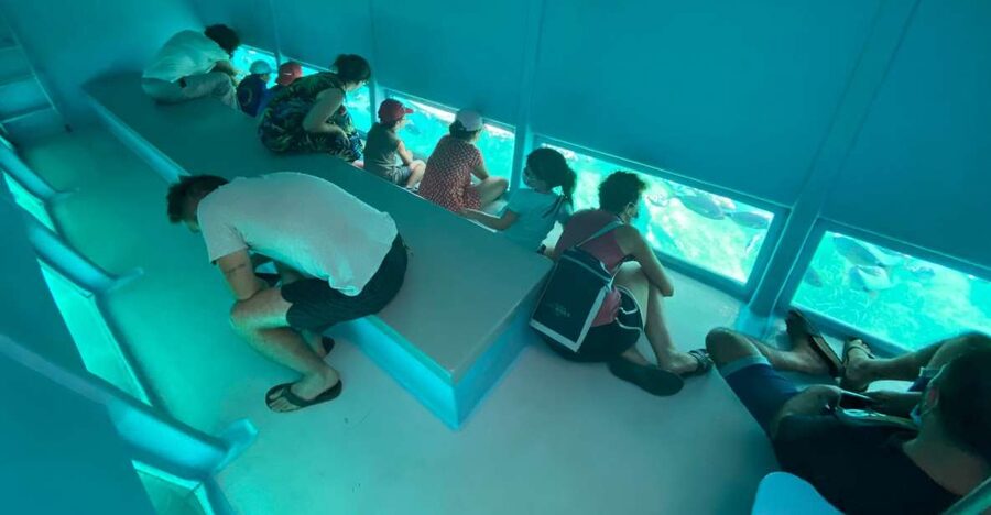 Cap Norfeu: Costa Brava Catamaran Trip with Underwater Views - Sailing the Costa Brava Above Water: What You See From the Catamaran