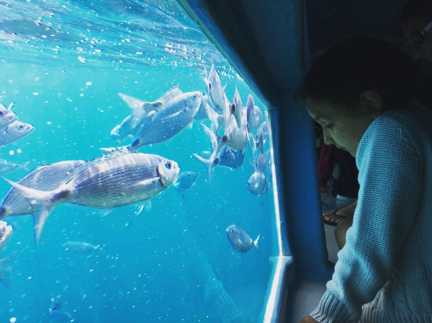 Cap Norfeu: Costa Brava Catamaran Trip with Underwater Views - Audio Guide on Your Phone: How It Adds Value