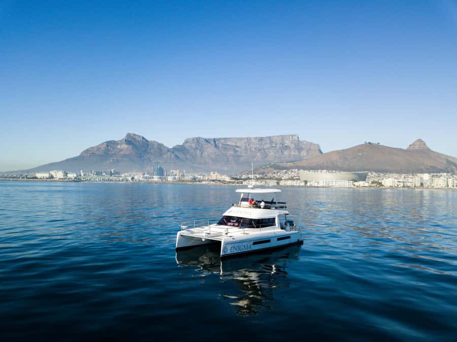 Cape Town: Scenic 1-Hour Coastal Catamaran Cruise - Marine-life spotting: dolphins, seals, penguins, and whales (when the timing is right)