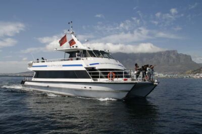 Cape Town: Scenic 1-Hour Coastal Catamaran Cruise - From the V&A Waterfront to Green Point: the route that changes the views