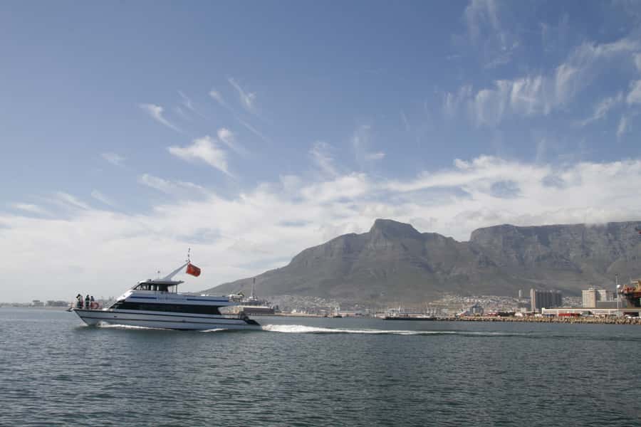 Cape Town: Scenic 1-Hour Coastal Catamaran Cruise - Practical logistics at Quay 5: where to meet and what to expect