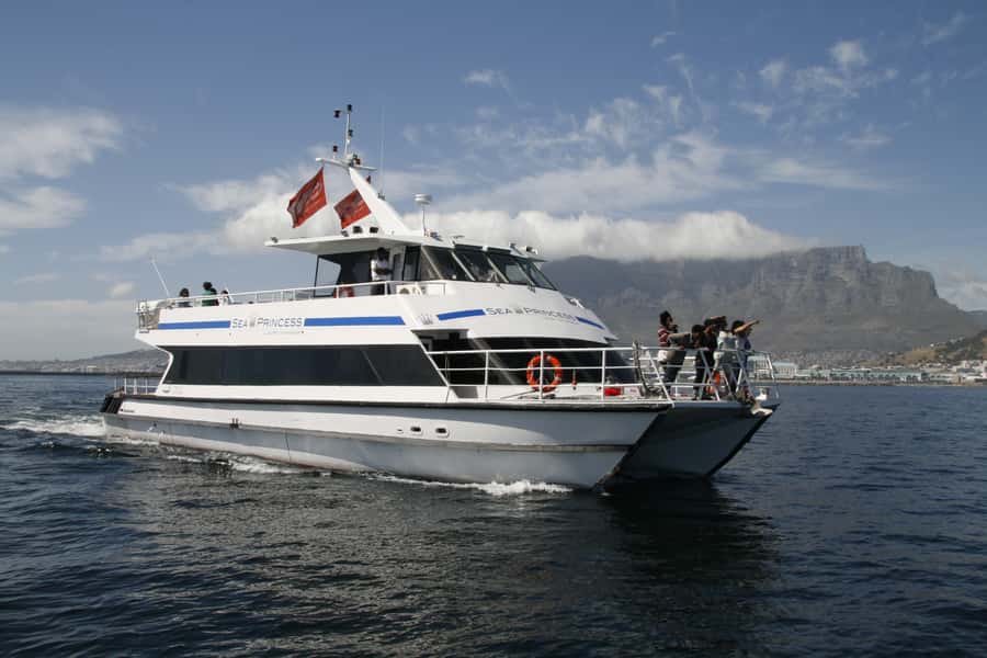 Cape Town: Scenic 1-Hour Coastal Catamaran Cruise - From the V&A Waterfront to Green Point: the route that changes the views