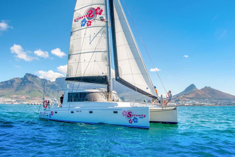 Cape Town Waterfront and Bay: Sailing Trip - Getting There at Quay 5: Simple Check-In That Still Pays Off
