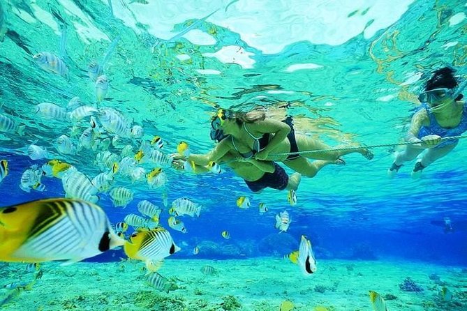 Catamaran Adventure Full Day: Ile aux cerfs,GRSE Waterfall,Snorkeling &BBQ Lunch - Ile aux Cerfs: white sand time plus optional adventure charges