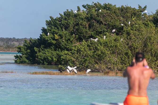 Catamaran Adventure: Sailing and Swimming in the Bacalar Lagoon - Boat comfort and wind reality: what to expect if the weather shifts