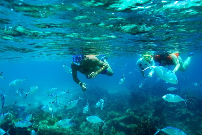 Catamaran Booze Cruise And Snorkeling Punta Cana - Adults Only - Key Points Worth Knowing Before You Go
