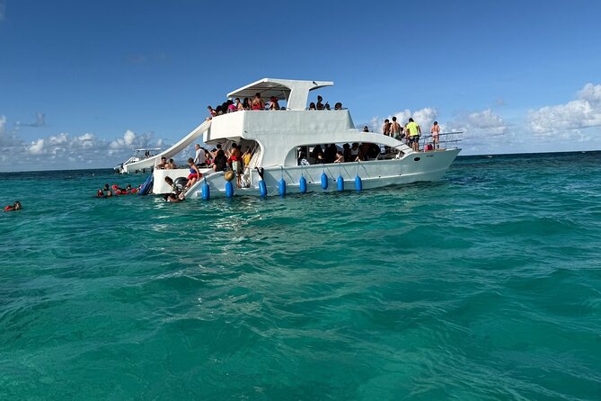 Catamaran Booze Cruise And Snorkeling Punta Cana - Adults Only - Wildlife Sightings: What You Might See Out on the Water
