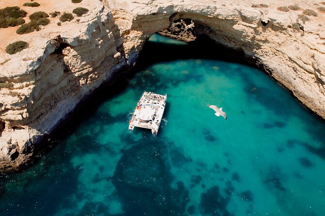 Catamaran Cruise: Caves and Coastline to Benagil - Price and What Makes It Feel Like a Deal at $36.30