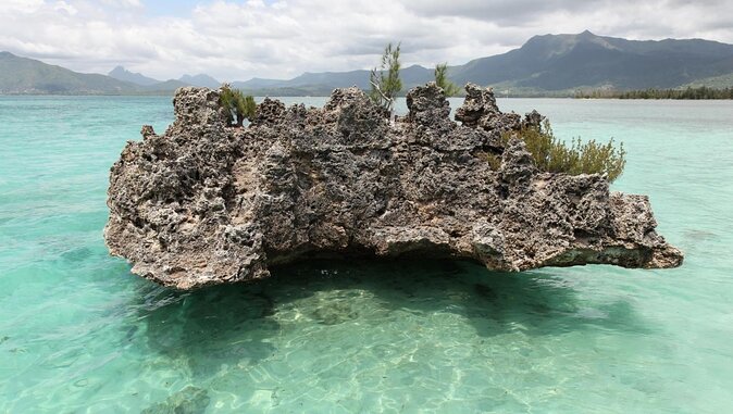 Catamaran Cruise to Ile Aux Bénitiers: Dolphin watch, Crystal Rock & Transfer - Key things to know before you sail to Ile aux Bénitiers