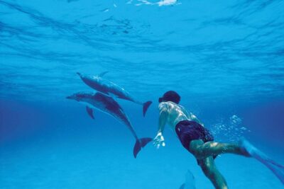 Catamaran Cruise to Ile Aux Bénitiers: Dolphin watch, Crystal Rock & Transfer - Trou d’Eau Douce pickup and the west-coast drive: where time can slip