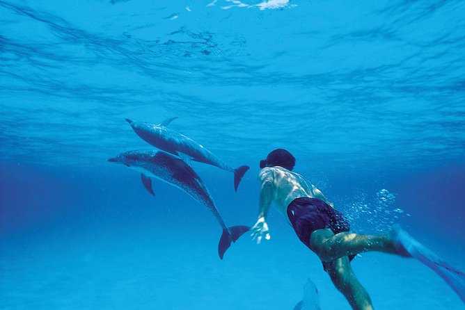 Catamaran Cruise to Ile Aux Bénitiers: Dolphin watch, Crystal Rock & Transfer - Trou d’Eau Douce pickup and the west-coast drive: where time can slip