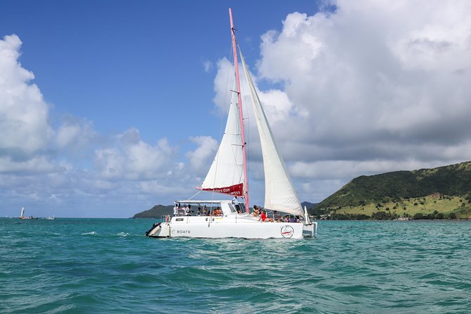Catamaran cruise to Ile aux cerfs with bbq lunch - Key highlights (the stuff that really matters)