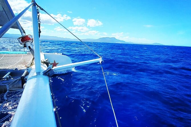 Catamaran Day Trip, Snorkeling & Sailing Excursion - Two Snorkeling Stops: Fish Time, But Realistic Expectations Help