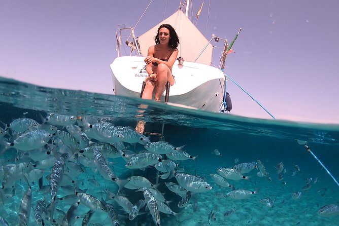 Catamaran excursions in the Asinara island National park - Asinara on land: prison ruins and the marine animal recovery center
