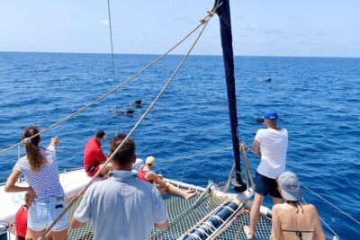 Catamaran Half Day - Beautiful day on the Atlantic Ocean - The 3-hour timing: what you’ll do (and where time goes)