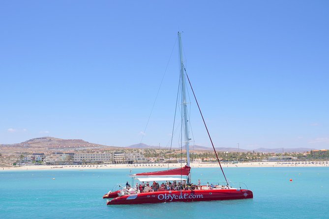 Catamaran Half-Day Cruise from Caleta de Fuste - What This Half-Day Catamaran Trip Really Feels Like (In Real Terms)