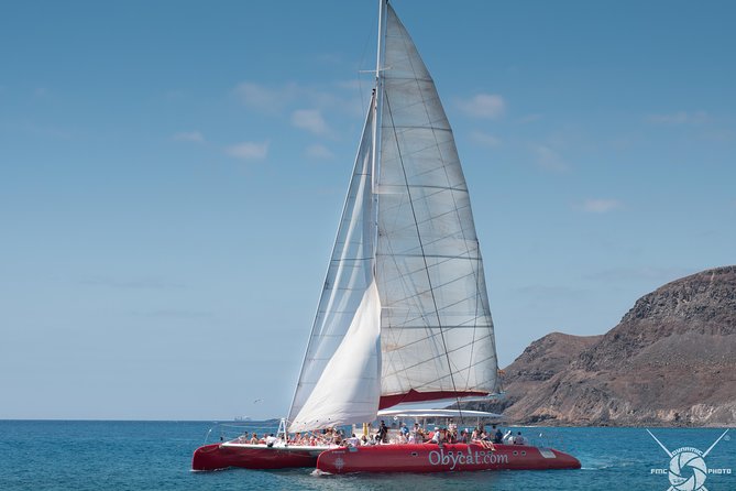 Catamaran Half-Day Cruise from Caleta de Fuste - Drinks Included: The Open Bar Part You Should Plan Around