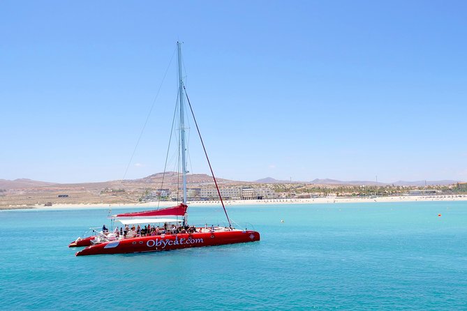 Catamaran Half-Day Cruise from Caleta de Fuste - Wildlife Watching: Dolphins, Whales, and Turtles Are a Bonus
