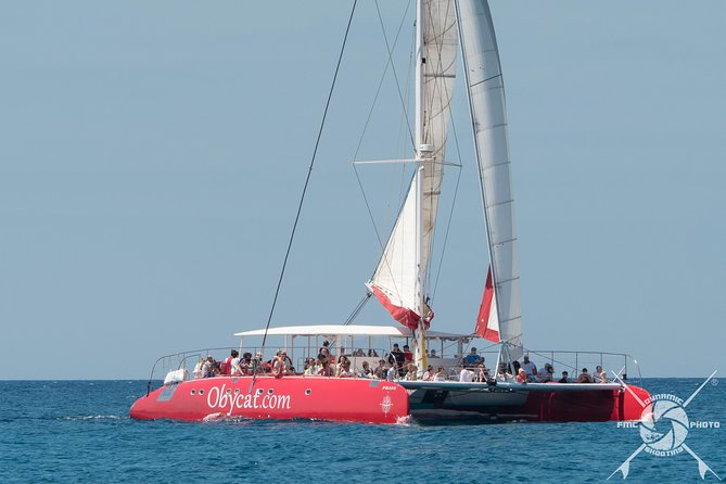 Catamaran Half-Day Cruise from Caleta de Fuste - The Sailing Part: Coast Views With a Chill, Party-Lite Mood