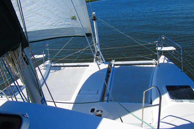 Catamaran Sailing Dolphin/Manatee Watch in Daytona Beach - Who should book this Daytona catamaran dolphin/manatee watch