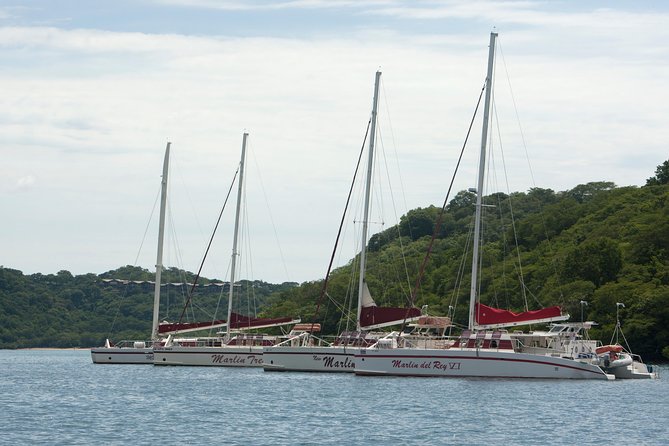 Catamaran Sailing & Snorkeling from Playas del Coco - Why This Afternoon Catamaran Feels Like Costa Rica’s Best Bonus