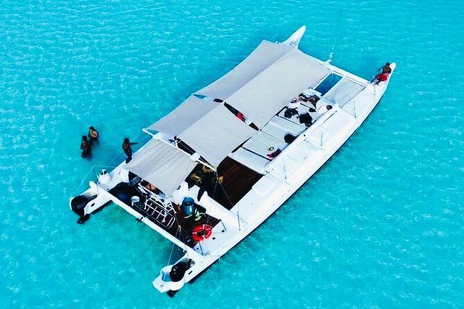 Catamaran Snorkel Adventure to El Cielo and The Money Bar Beach - Stop 1: Palancar Reef for the first real snorkeling session
