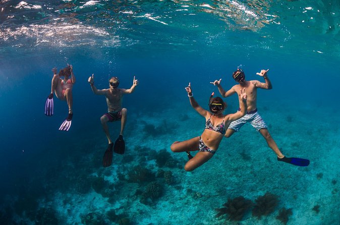 Catamaran Snorkel & BBQ Sail (cruise friendly) - Views Back on the Water: Bonaire and Klein Bonaire From Sea Level