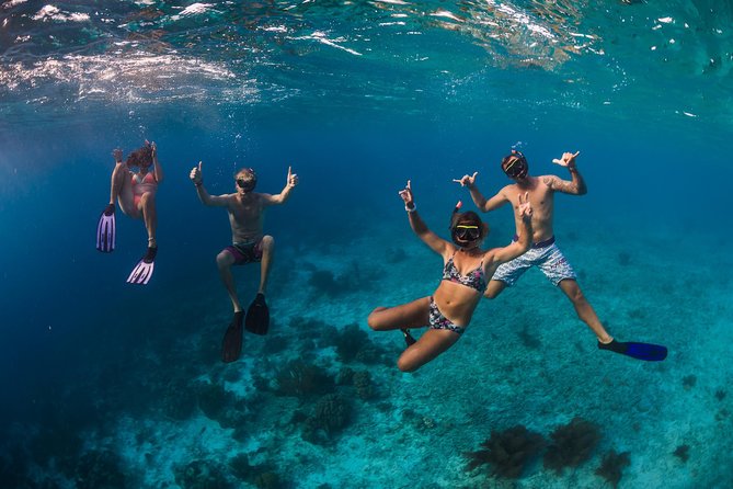 Catamaran Snorkel & BBQ Sail (cruise friendly) - Gear, Safety, and the Crew’s Style