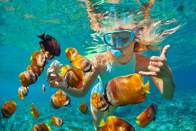 Catamaran Snorkeling All-Inclusive Day-Trip - Key Points Before You Go