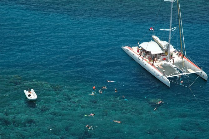 Catamaran Snorkeling All-Inclusive Day-Trip - Price and Value for $84: What You’re Actually Buying