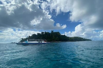 Catamaran Snorkeling at Caño Island from Drake Bay - Two 45-minute snorkeling sessions: how to make the most of limited time