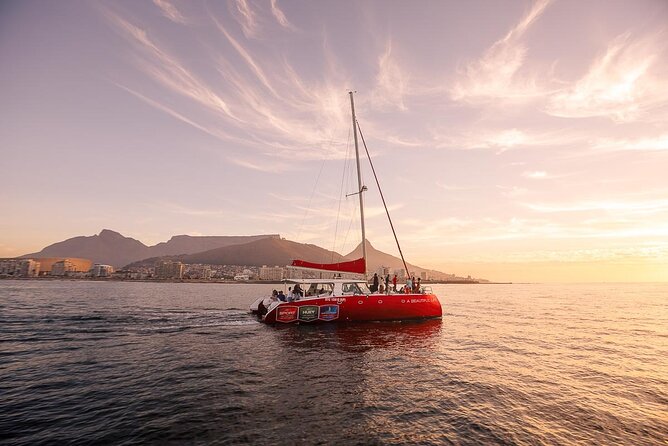 Catamaran Sunset Champagne Cruise Cape Town - Key highlights to know before you go