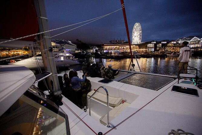 Catamaran Sunset Champagne Cruise Cape Town - Marine life spotting: what you can hope for