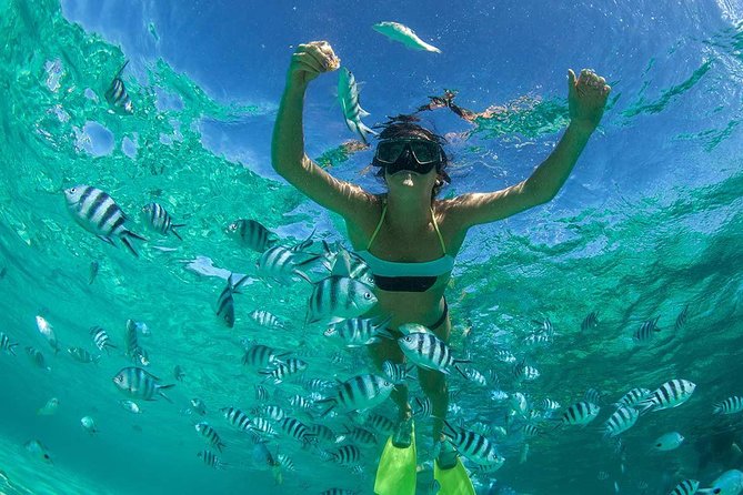 Catamaran to Ile aux Cerf with Parasailing, Tube Riding & Lunch - Grand River South East waterfall: scenery with some speedboat time