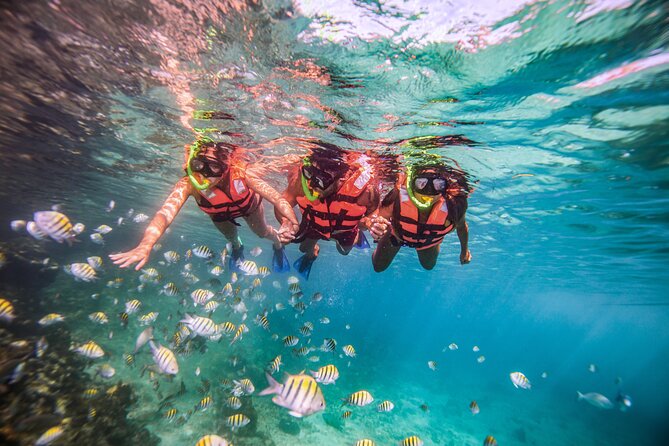 CATAMARAN to Isla Mujeres, Snorkel & Beach Club by Xcaret - Price and Timing: Is $74.66 Good Value?