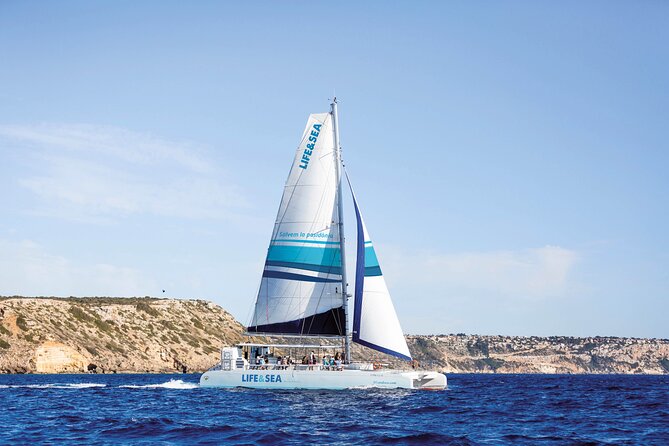 Catamaran with BBQ in the Bay of Palma - Key things to know before you go