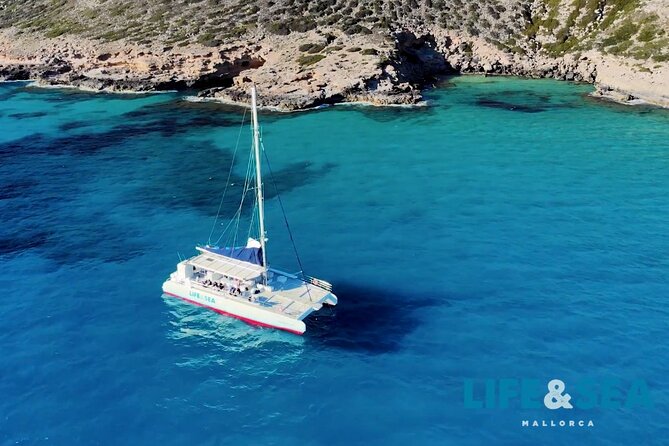 Catamaran with BBQ in the Bay of Palma - Sailing Out of S’Arenal: The 10:00–14:00 Plan
