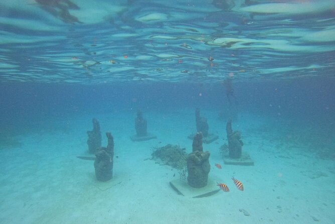 Catamaran with Snorkeling and North Beach, Isla Mujeres - Price and Value: What $49 Really Buys You