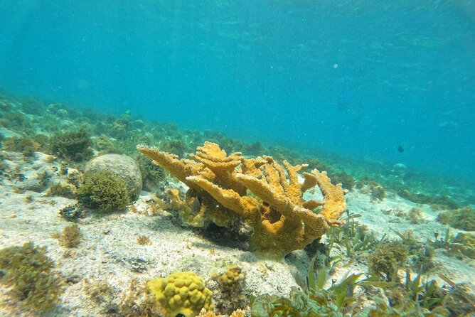 Catamaran with Snorkeling and North Beach, Isla Mujeres - Who This Tour Fits Best (and Who Should Skip It)