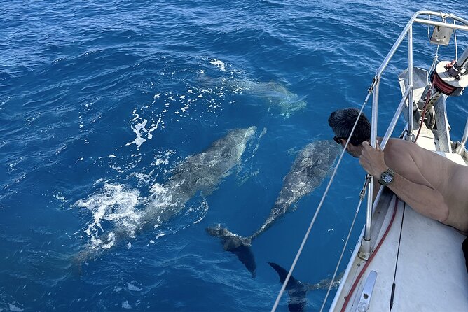 Catania: Sail Cyclops Coast by Boat and Enjoy a Sicilian Aperitif - The Black Coastline Segment: Extra Scenery Between Main Stops