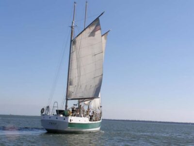 Charleston: Schooner Sailing Harbor Tour & Dolphin Watch - What a 1.5-hour schooner cruise really feels like
